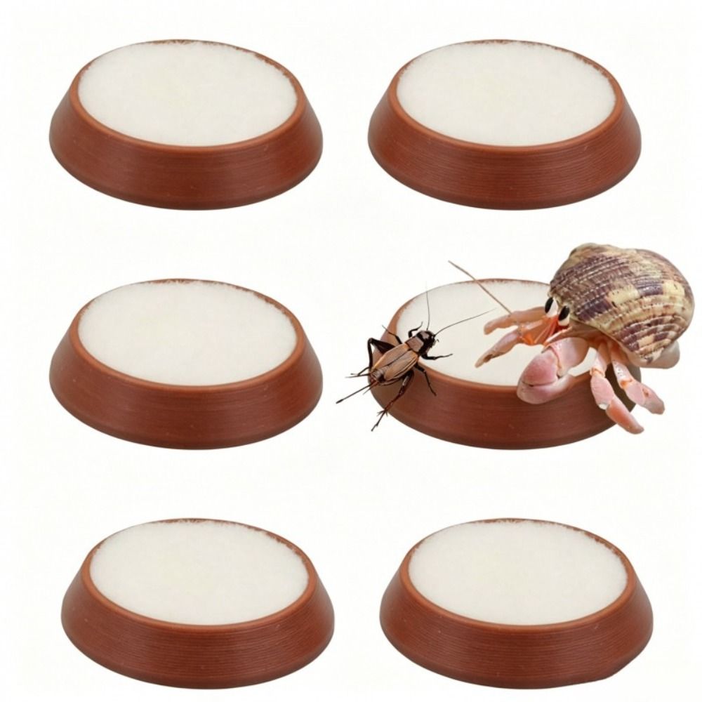 6pcs Portable Reusable Reptile - đánh giá và giá Water Dish Reptile