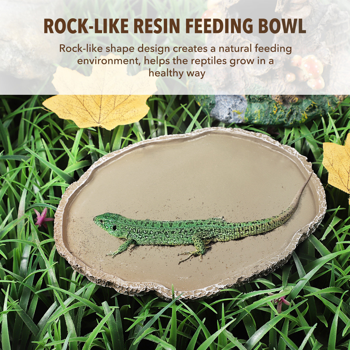 Resin Reptile Feeding Bowl Stu - đánh giá và giá Water Dish Reptile