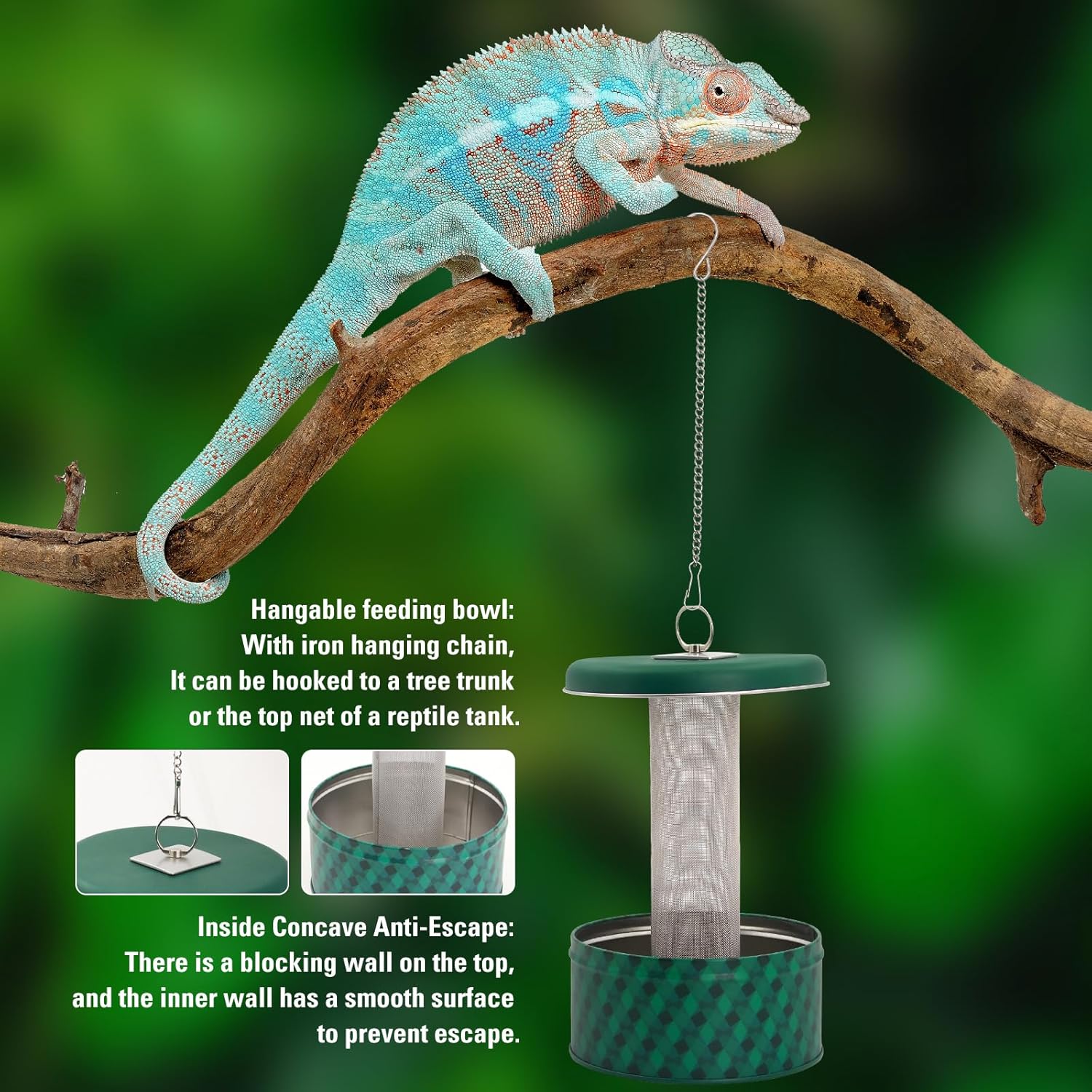 Bearded Dragon Feeder Chameleo - đánh giá và giá Water Dish Reptile