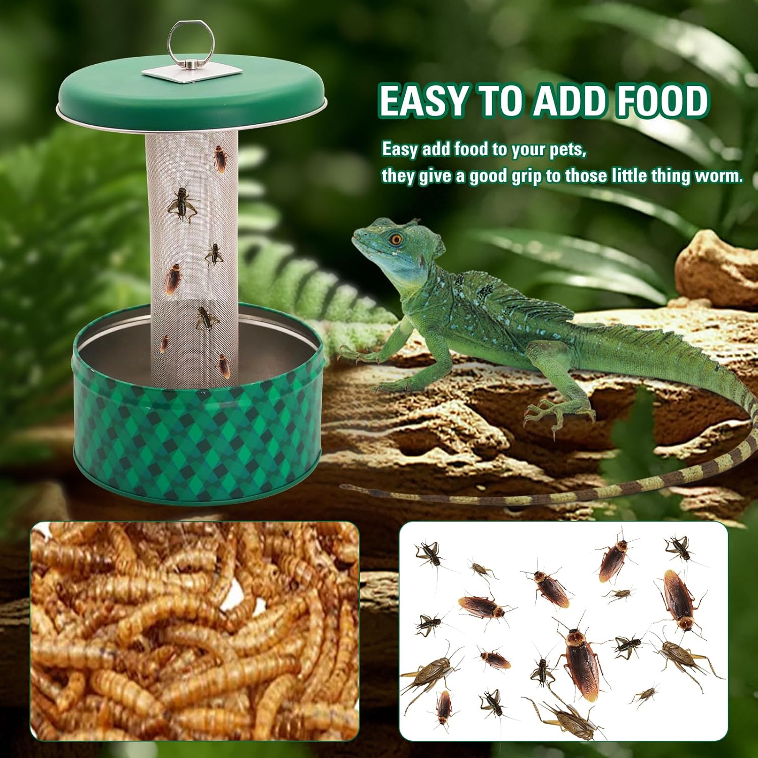 Bearded Dragon Feeder Chameleo - đánh giá và giá Water Dish Reptile