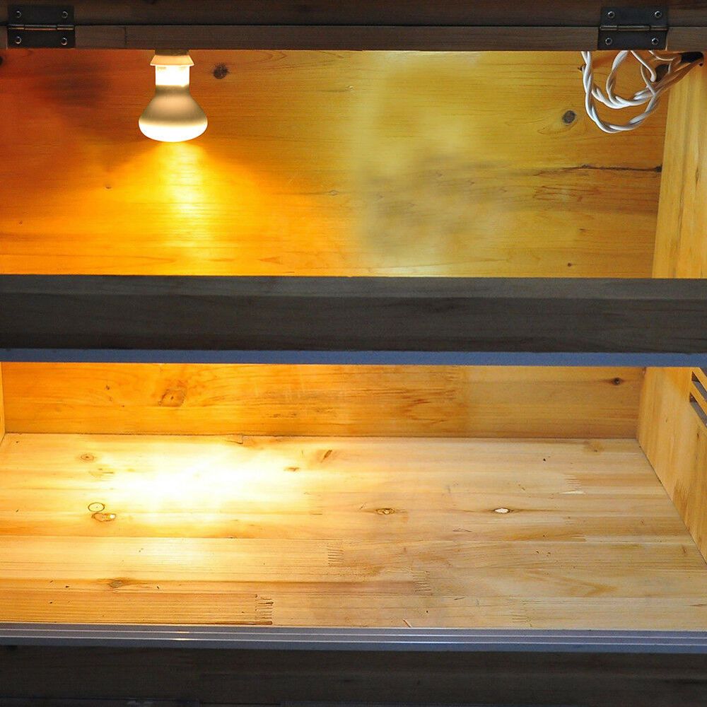 Lizard Heater Temperature Cont - đánh giá và giá Basking Bulb Halogen