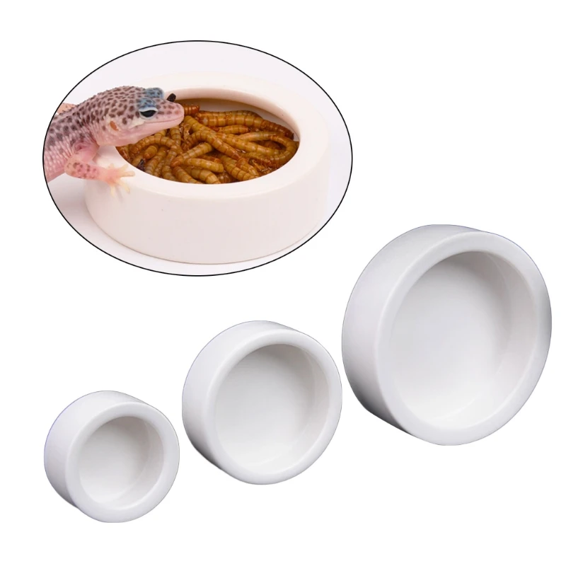 Reptile Food Bowl Anti-Escape  - đánh giá và giá Water Dish Reptile