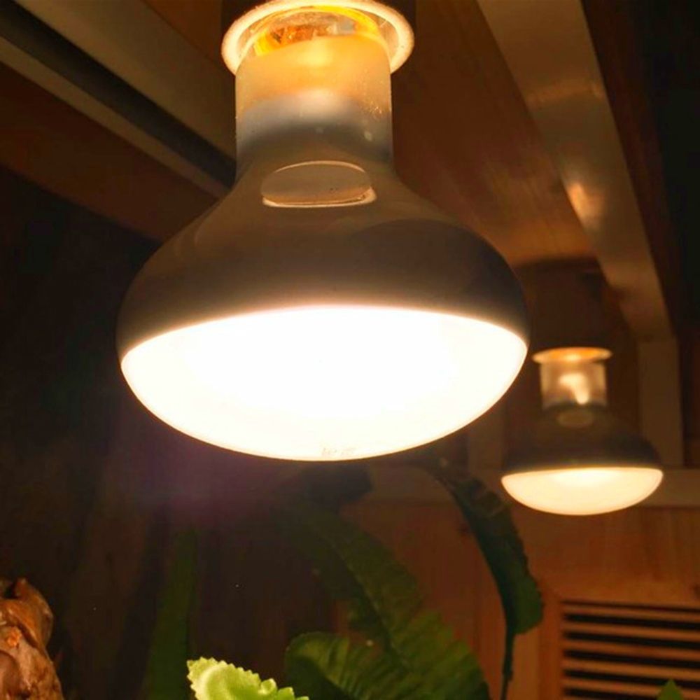 Turtle Heater Heat Lamp Reptil - đánh giá và giá Basking Bulb Halogen